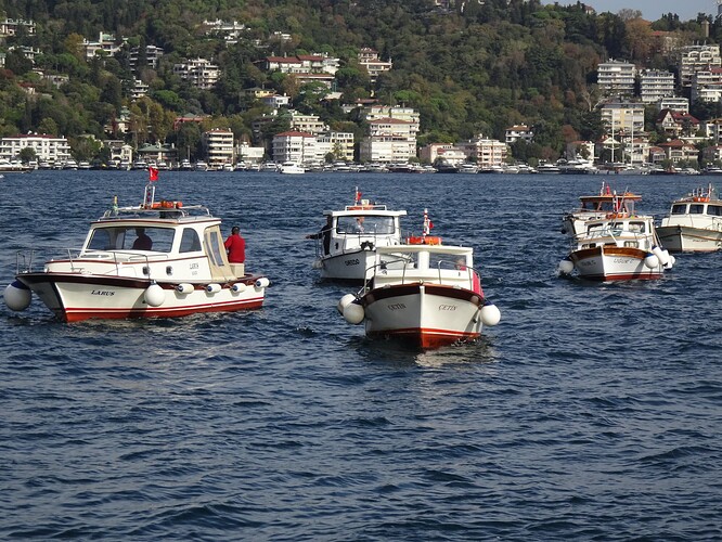 DSC04836_1