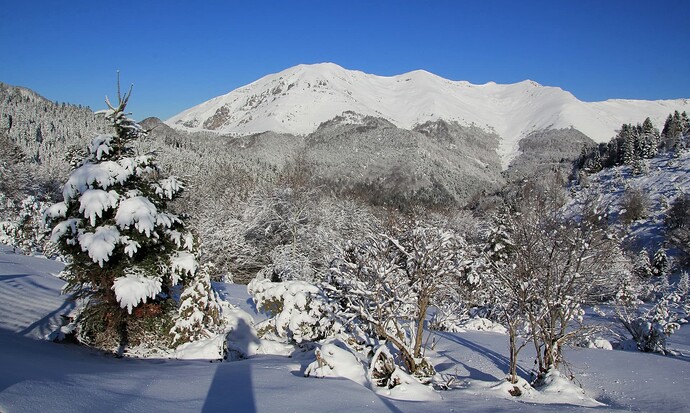 Sur les pistes de fond