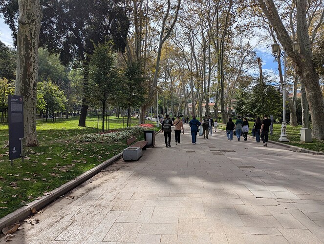PXL_20251026_104328081_1