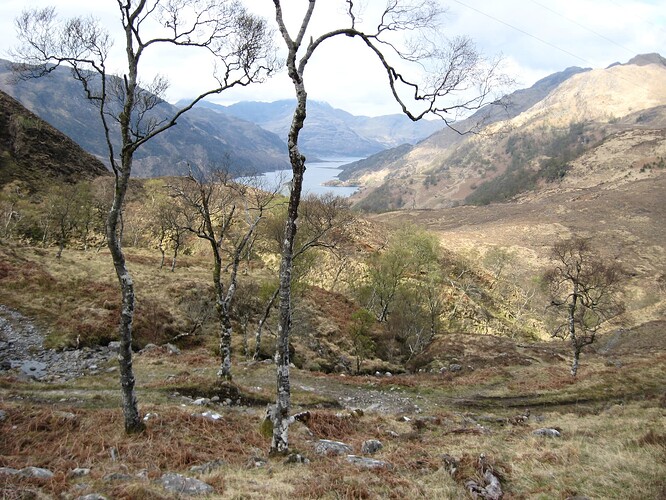 Ecosse (163)