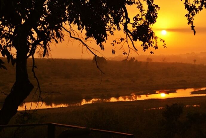 safari dans le Kgalagadi transfrontier park et le kruger national park - marsouin59