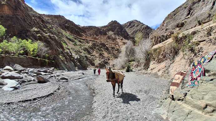 IMG-20250319-WA0037(1)