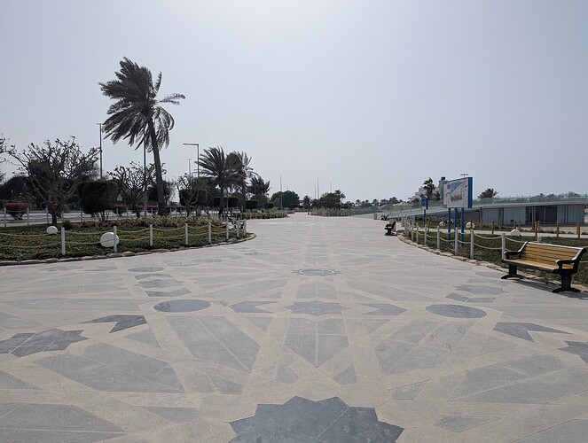 PXL_20250417_113305591_1