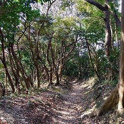 大楠山