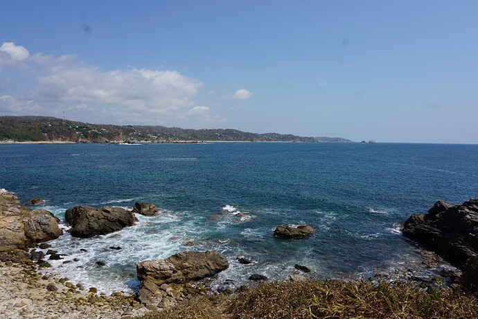 DSC01810