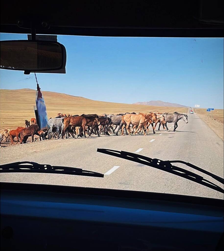 Mongolie