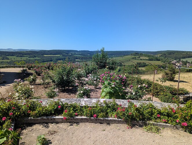 PXL_20250530_085629787_1