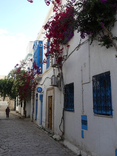 Médina de Tunis