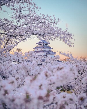 写真3_鶴ヶ城