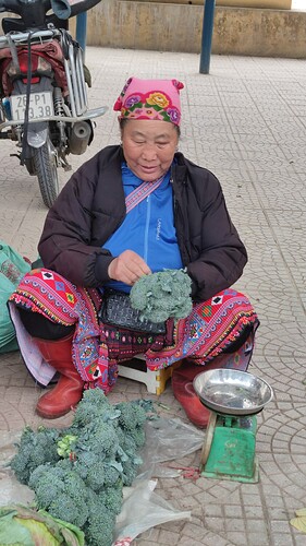 IMG_20250306_083044