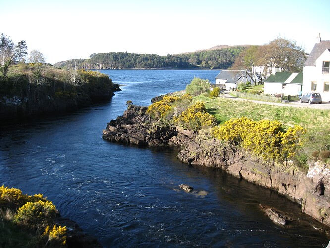 Ecosse (395)