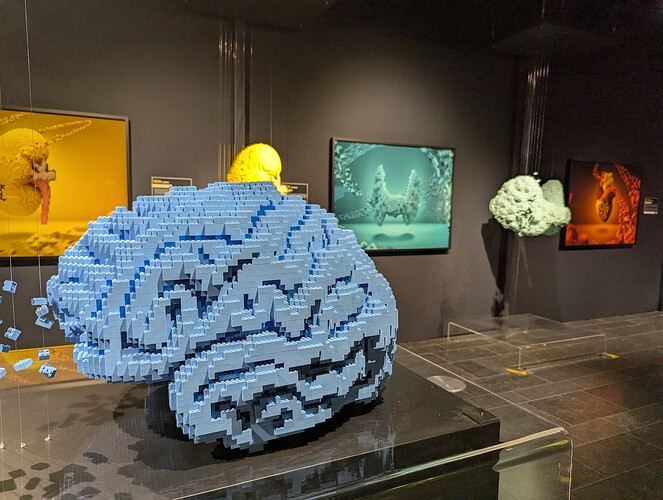 PXL_20260103_130556176_1