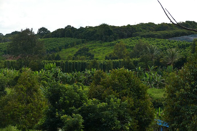 P1320760