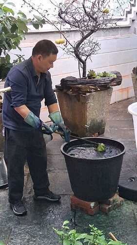 IMG-20251101-WA0064