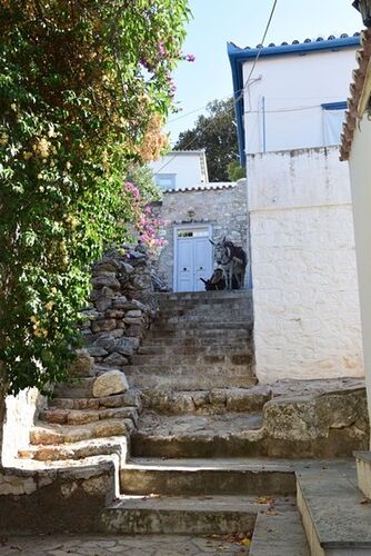 Athènes et ses environs (en bustrip) - amandine.rousseau.33