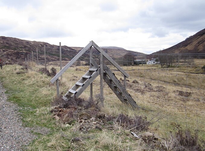 Ecosse 2013 123 - Copie