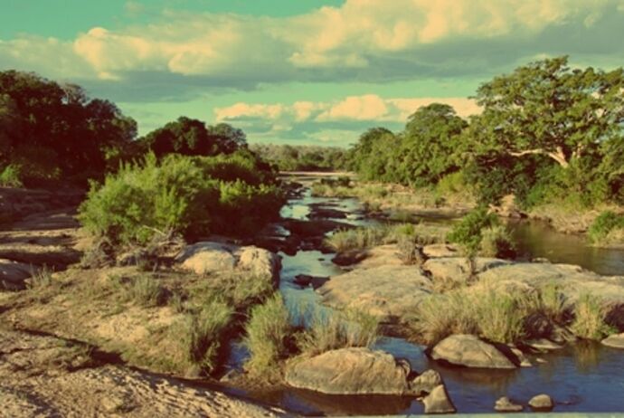 safari dans le Kgalagadi transfrontier park et le kruger national park - marsouin59