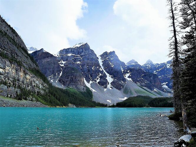 L'Ouest canadien à pleins poumons: épisode 1, les Rocheuses et la chaîne Alberta - fabienne65