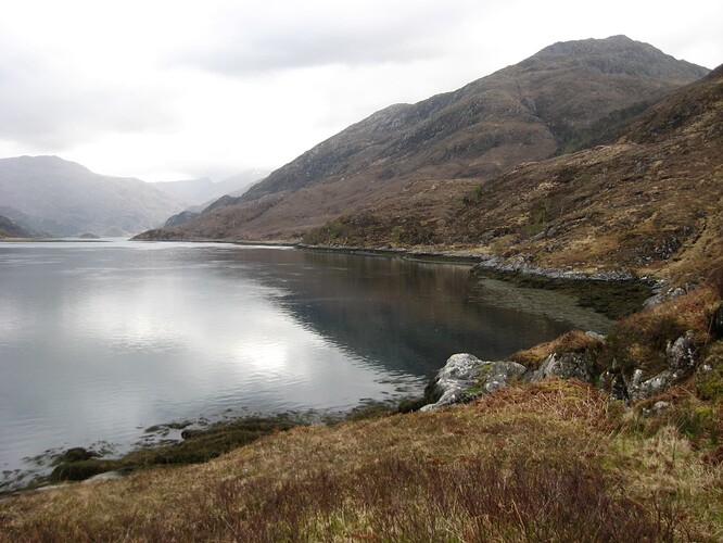 Ecosse (134)