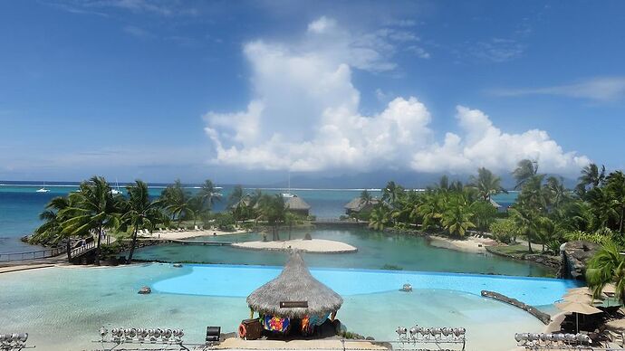 DE RETOUR D'UN MOIS EN POLYNESIE - tontonvin