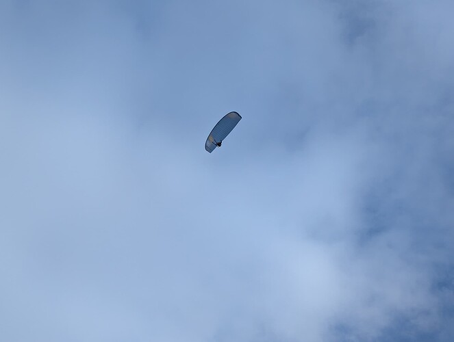 PXL_20250210_144502685_1