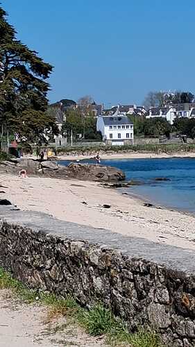 IMG-20250729-WA0006