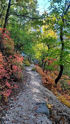 IMG_20251024_103340