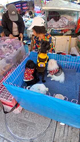 IMG-20251028-WA0096