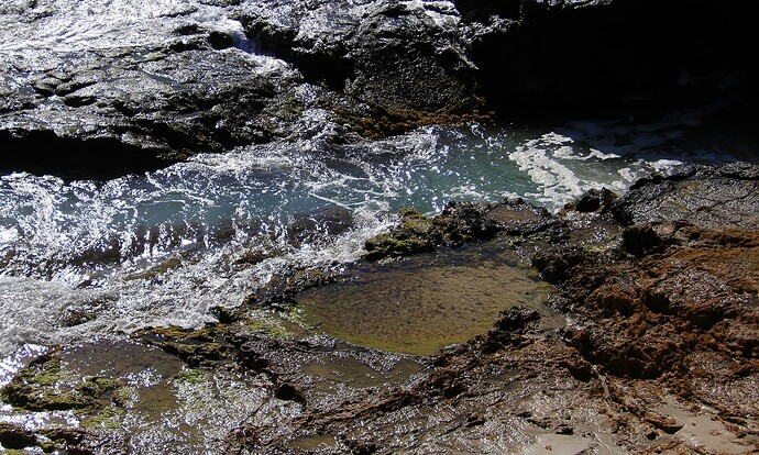 Piscine naturelle