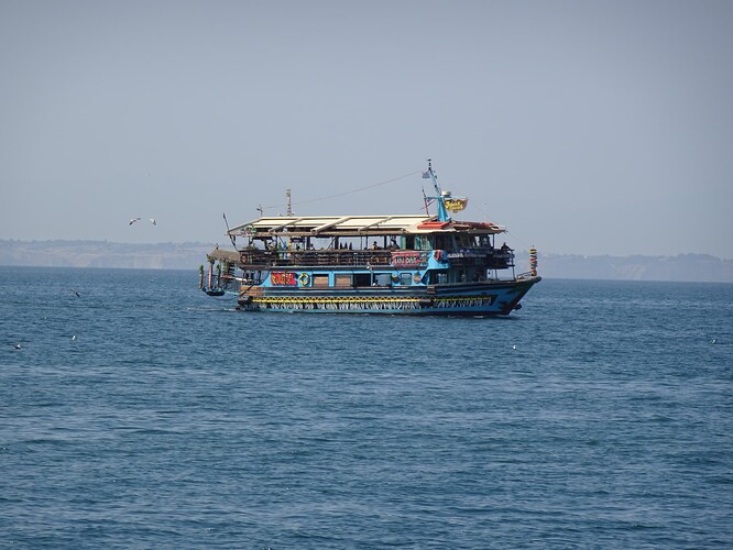 DSC04313_1