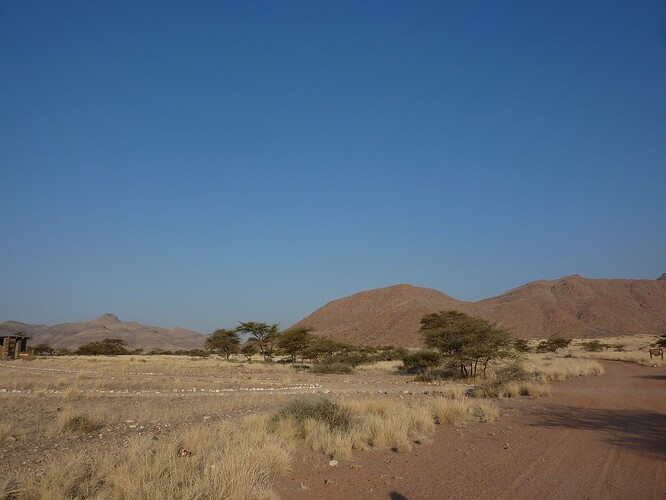 P1140356