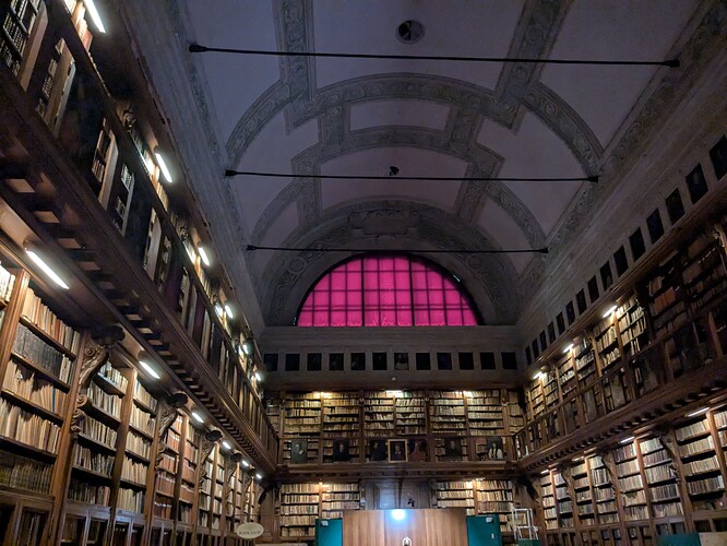 PXL_20250405_150150479