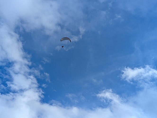 PXL_20250210_144451351_1