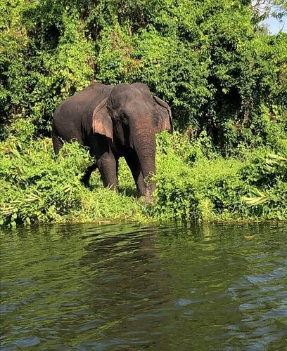 sri lanka e