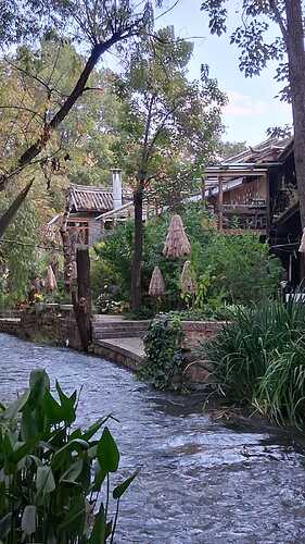 IMG-20251118-WA0004(3)