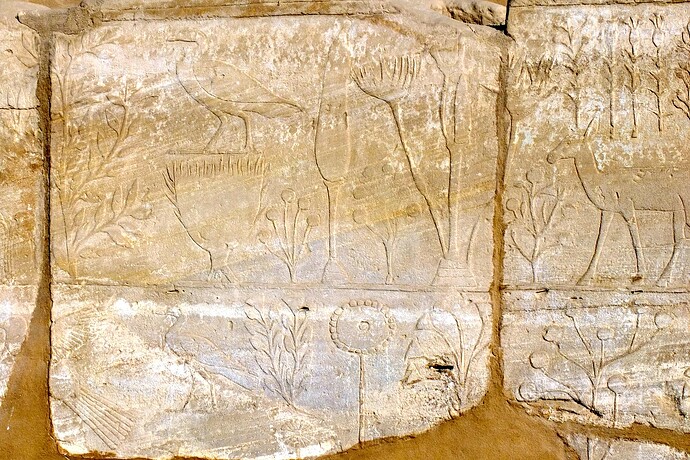 EGY13_020400