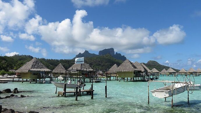 DE RETOUR D'UN MOIS EN POLYNESIE - tontonvin