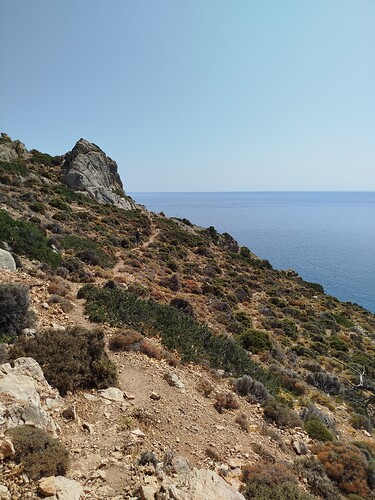 1000000976
