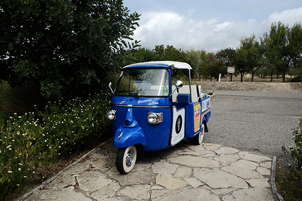 Après 10 jours au Sud-Ouest de la Sardaigne - lenvolée