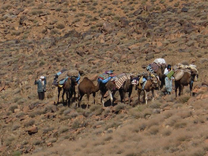 Carnet de voyage : 4 semaines au Maroc en automne  - jbf