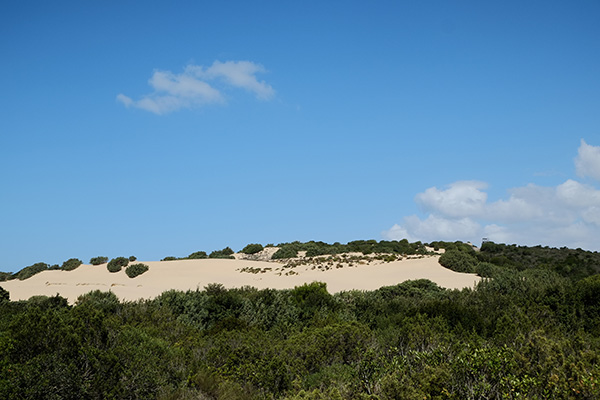 Après 10 jours au Sud-Ouest de la Sardaigne - lenvolée