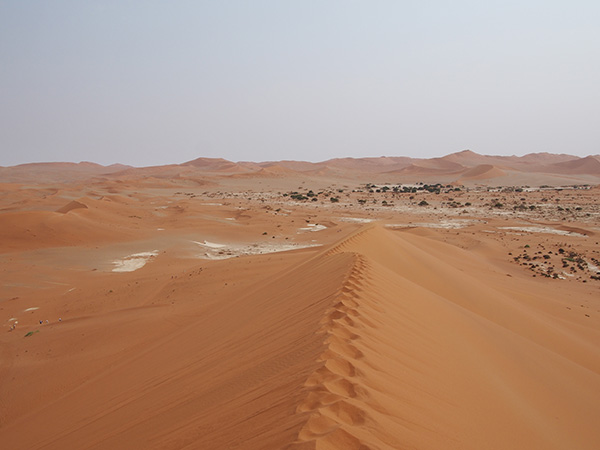 Retour de 3 semaines Chutes Victoria-Botswana-Namibie - drcarter