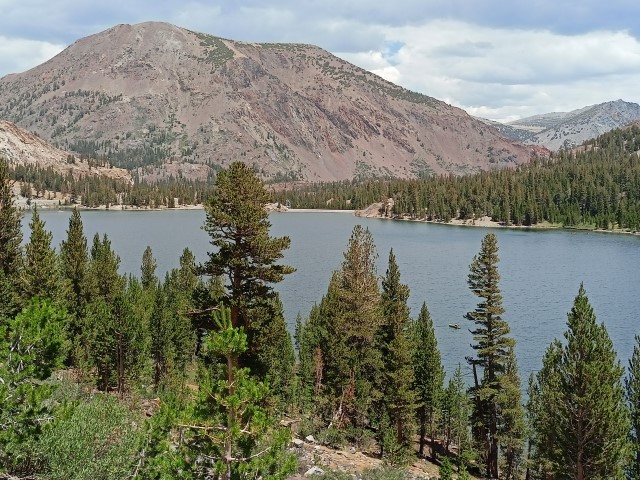 Tioga Road (Small)