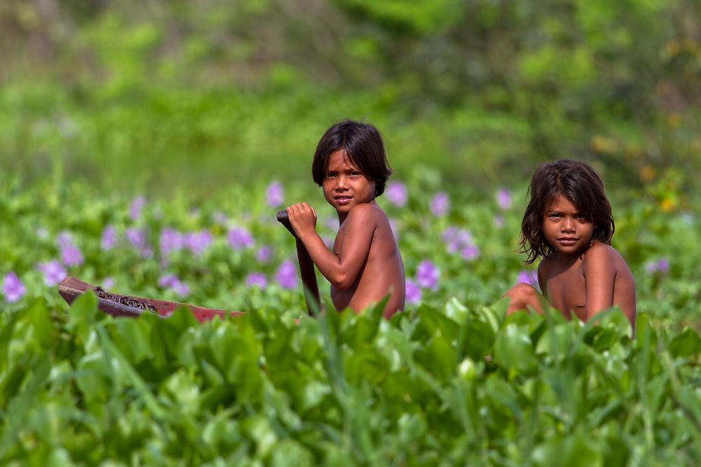 Re: Amazonie via Manaus ou Santarem - France-Rio