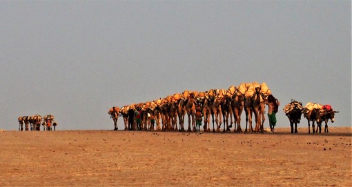 Lac Assal, rencontre avec le peuple Afar! - Rencontres et Voyagite