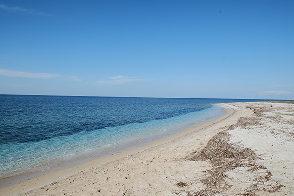 Après 10 jours au Sud-Ouest de la Sardaigne - lenvolée