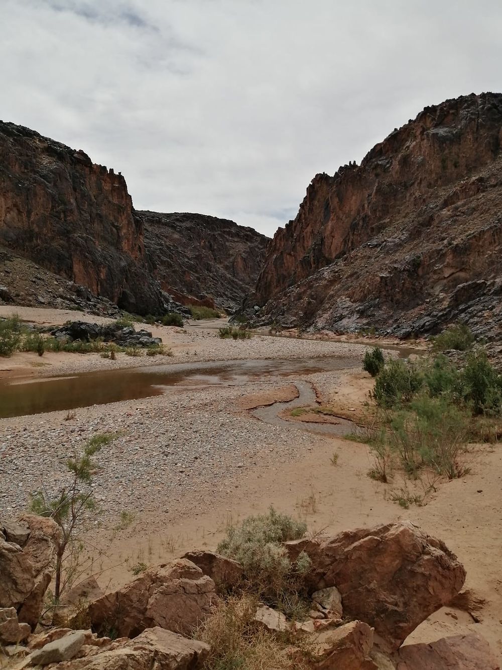 Re: Au retour de notre quinzaine dans le sud du Maroc.  - Louisa21