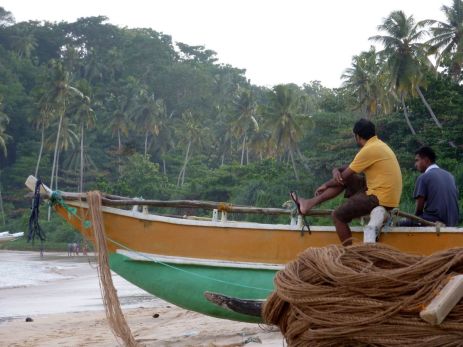 Un mois au Sri Lanka et dans la péninsule de Jaffna - titimathi