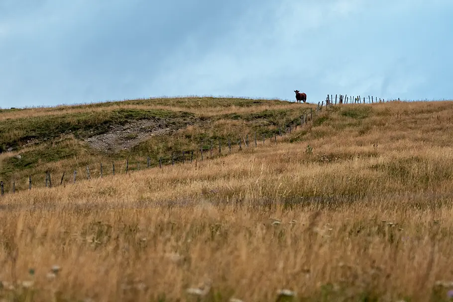 auvergne5