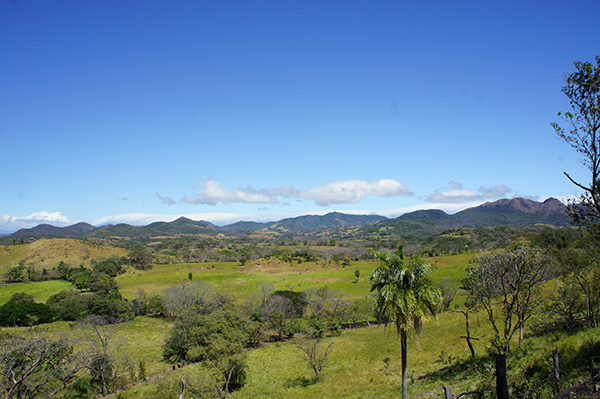 Retour du Costa Rica, nos conseils - delfalex